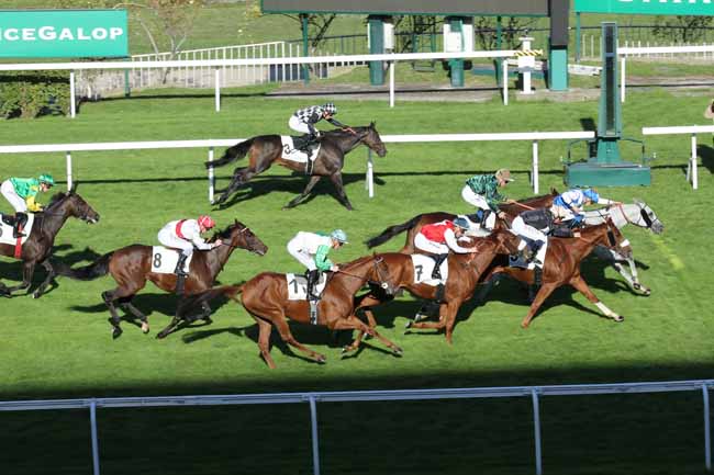 Photo d'arrivée de la course pmu PRIX JUMILHAC à SAINT CLOUD le Jeudi 6 octobre 2022