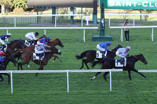 Photo d'arrivée de la course pmu PRIX DE SAINT-MARTIN-DU-CHENE à SAINT CLOUD le Jeudi 6 octobre 2022