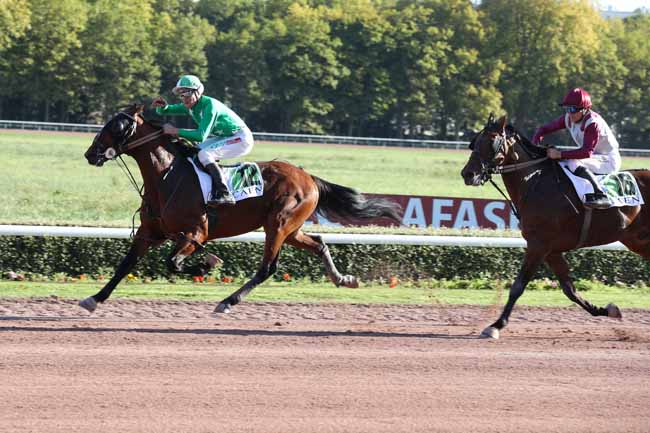 Photo d'arrivée de la course pmu SAINT LEGER DES TROTTEURS à CAEN le Samedi 8 octobre 2022