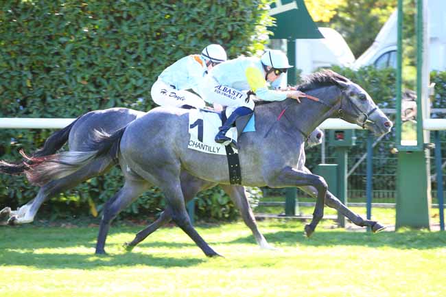 Photo d'arrivée de la course pmu CRITERIUM DE MAISONS-LAFFITTE à CHANTILLY le Samedi 8 octobre 2022