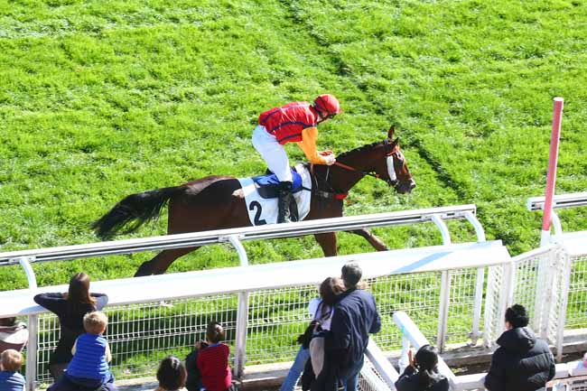 Photo d'arrivée de la course pmu PRIX FALZAREGO à AUTEUIL le Dimanche 9 octobre 2022