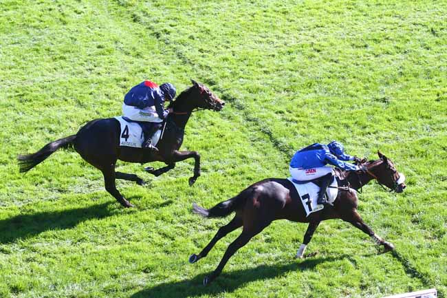 Photo d'arrivée de la course pmu PRIX BEAUREPAIRE à AUTEUIL le Dimanche 9 octobre 2022