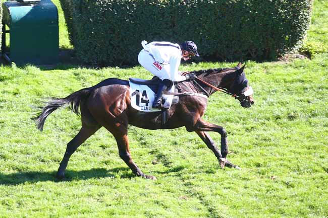 Photo d'arrivée de la course pmu PRIX ANDRE ADELE à AUTEUIL le Dimanche 9 octobre 2022