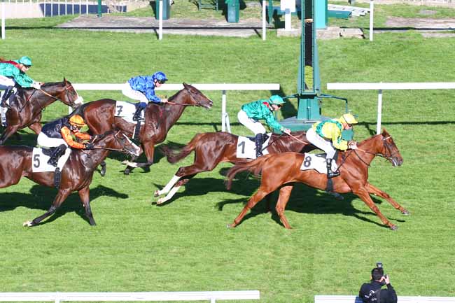 Photo d'arrivée de la course pmu PRIX SANCTUS à SAINT CLOUD le Mardi 11 octobre 2022