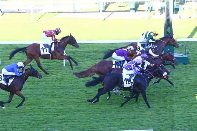 Photo d'arrivée de la course pmu PRIX DE BUZENVAL à SAINT CLOUD le Mardi 11 octobre 2022