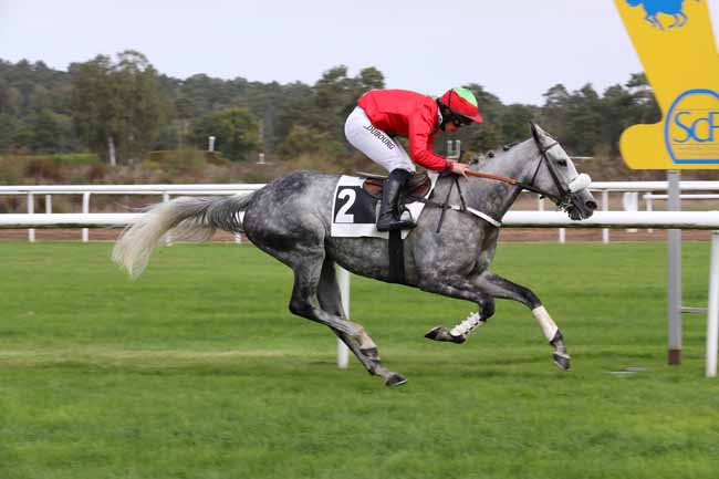 Photo d'arrivée de la course pmu PRIX DE L'ECOLE MILITAIRE D'EQUITATION à FONTAINEBLEAU le Mardi 11 octobre 2022