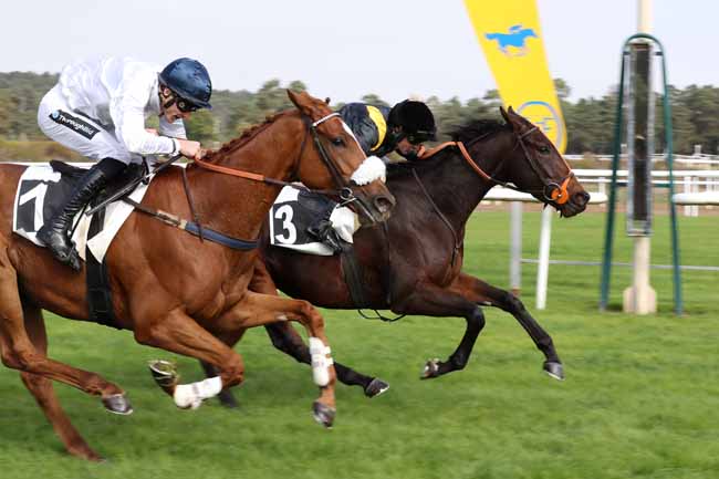 Photo d'arrivée de la course pmu PRIX D'URY à FONTAINEBLEAU le Mardi 11 octobre 2022