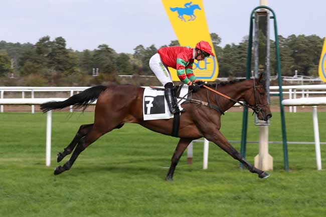 Photo d'arrivée de la course pmu PRIX COLONEL JOCHAUD DU PLESSIX à FONTAINEBLEAU le Mardi 11 octobre 2022