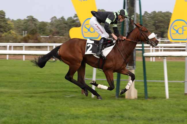 Photo d'arrivée de la course pmu PRIX DU GRAND PARQUET à FONTAINEBLEAU le Mardi 11 octobre 2022