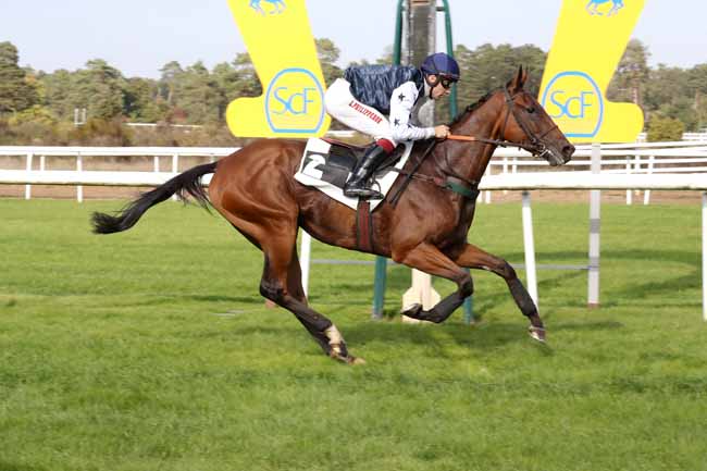 Photo d'arrivée de la course pmu PRIX DU RALLYE FONTAINEBLEAU à FONTAINEBLEAU le Mardi 11 octobre 2022
