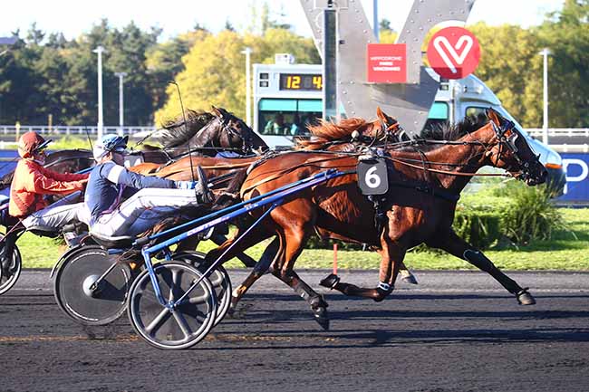 Photo d'arrivée de la course pmu PRIX ANGELINA à PARIS-VINCENNES le Mardi 11 octobre 2022