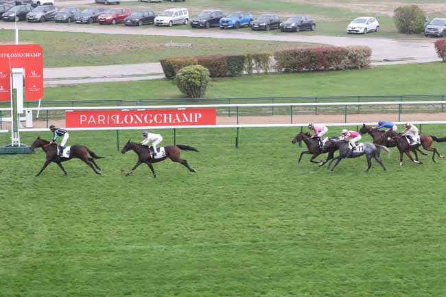 Photo d'arrivée de la course pmu PRIX DE SAINT-NICOLAS à LONGCHAMP le Jeudi 13 octobre 2022