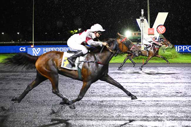 Photo d'arrivée de la course pmu PRIX EDMOND HENRY à PARIS-VINCENNES le Vendredi 14 octobre 2022