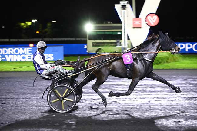 Photo d'arrivée de la course pmu PRIX THERESIA à PARIS-VINCENNES le Vendredi 14 octobre 2022