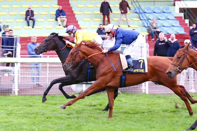 Photo d'arrivée de la course pmu PRIX POGGIO RICCO à COMPIEGNE le Vendredi 14 octobre 2022