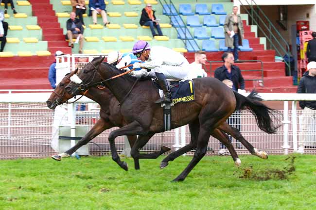 Photo d'arrivée de la course pmu PRIX PMU HOTEL DU CERF - LES GRANDES VENTES (PRIX EULALIE) à COMPIEGNE le Vendredi 14 octobre 2022