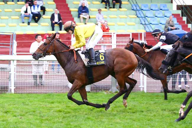Photo d'arrivée de la course pmu PRIX DE PICARDIE à COMPIEGNE le Vendredi 14 octobre 2022