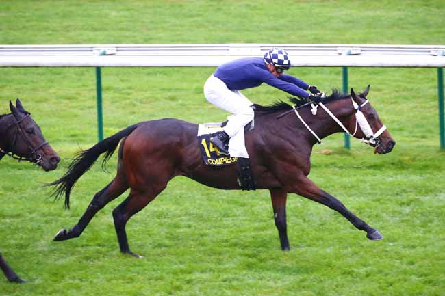 Photo d'arrivée de la course pmu PRIX DE LA BREVIERE à COMPIEGNE le Vendredi 14 octobre 2022