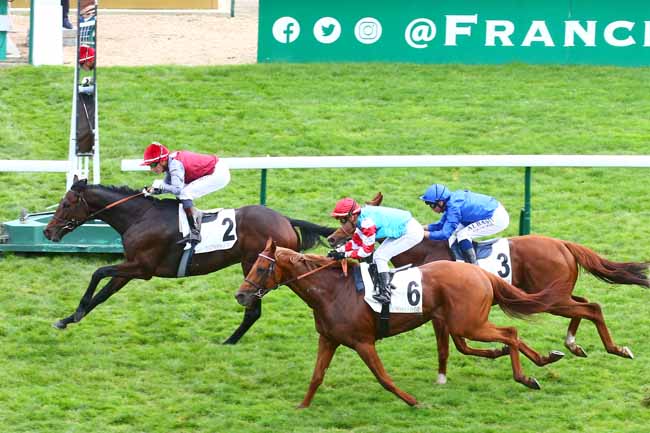 Photo d'arrivée de la course pmu PRIX DU RANELAGH à LONGCHAMP le Dimanche 16 octobre 2022