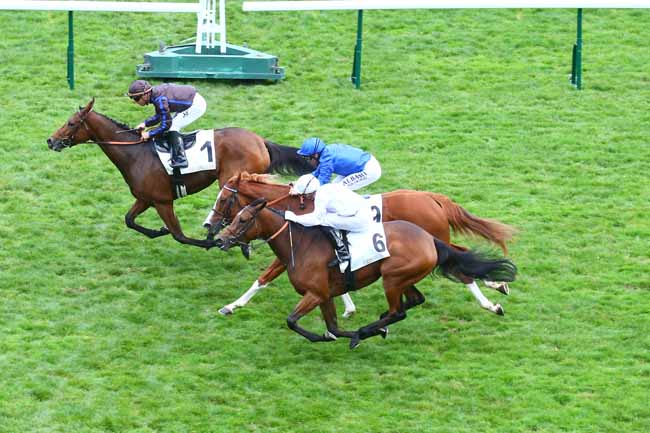 Photo d'arrivée de la course pmu PRIX CASIMIR DELAMARRE - FONDS EUROPEEN DE L'ELEVAGE à LONGCHAMP le Dimanche 16 octobre 2022