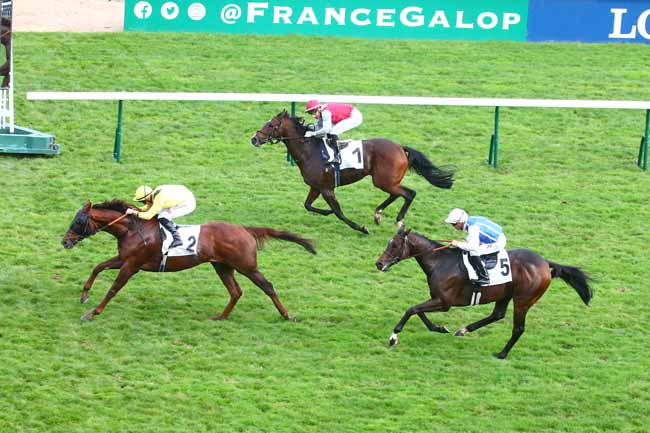 Photo d'arrivée de la course pmu PRIX DU CONSEIL DE PARIS à LONGCHAMP le Dimanche 16 octobre 2022