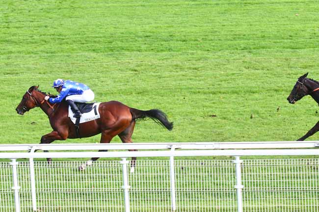 Photo d'arrivée de la course pmu PRIX DU PRE D'AUGE à DEAUVILLE le Mardi 18 octobre 2022