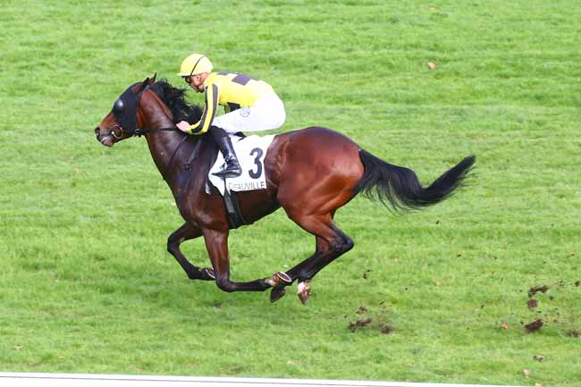 Photo d'arrivée de la course pmu PRIX DE CROISSANVILLE à DEAUVILLE le Mardi 18 octobre 2022
