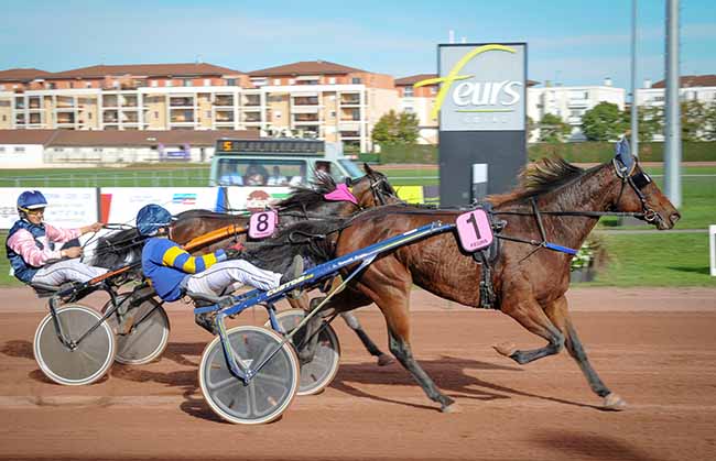 Photo d'arrivée de la course pmu PRIX DU CONSEIL DEPARTEMENTAL DE LA LOIRE à FEURS le Mercredi 19 octobre 2022