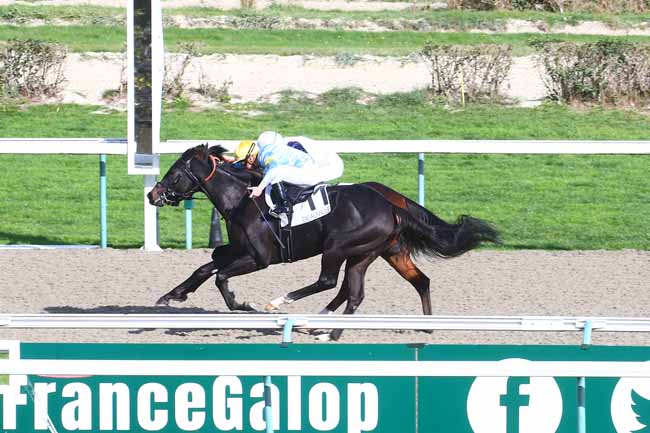 Photo d'arrivée de la course pmu PRIX DE L'EURE à DEAUVILLE le Mercredi 19 octobre 2022