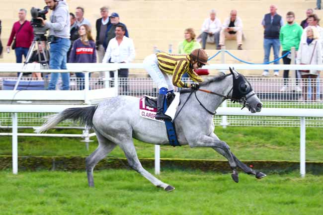Photo d'arrivée de la course pmu PRIX CONCOURS DE SCULPTURE DE CITROUILLES (PRIX DU LIEU GAMARD) à CLAIREFONTAINE le Vendredi 21 octobre 2022