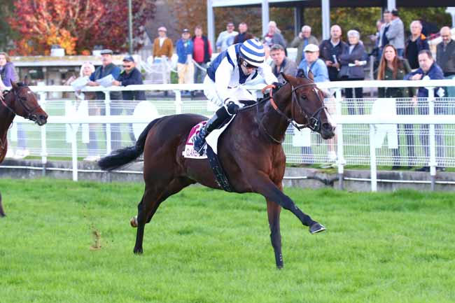 Photo d'arrivée de la course pmu PRIX ''TRICK OR TREAT'' (PRIX DU LIEU BILL) à CLAIREFONTAINE le Vendredi 21 octobre 2022