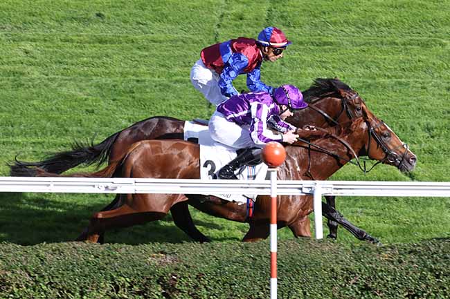 Photo d'arrivée de la course pmu CRITERIUM INTERNATIONAL à SAINT CLOUD le Samedi 22 octobre 2022