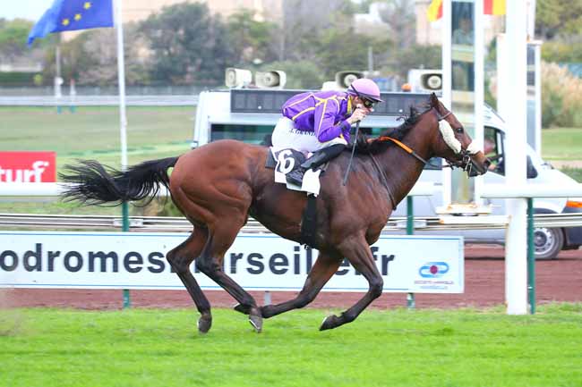 Photo d'arrivée de la course pmu PRIX DE BELSUNCE à MARSEILLE BORELY le Lundi 24 octobre 2022