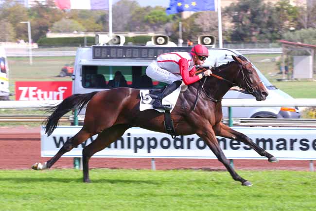 Photo d'arrivée de la course pmu PRIX DELAHANTE à MARSEILLE BORELY le Lundi 24 octobre 2022