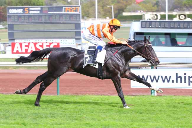 Photo d'arrivée de la course pmu PRIX DE RATONNEAU à MARSEILLE BORELY le Lundi 24 octobre 2022