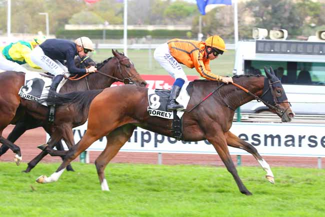 Photo d'arrivée de la course pmu PRIX GYPTIS ET PROTIS à MARSEILLE BORELY le Lundi 24 octobre 2022