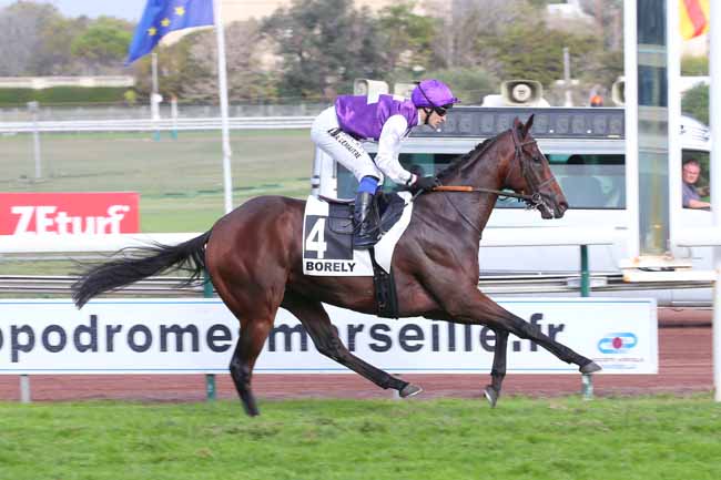 Photo d'arrivée de la course pmu PRIX DE MANOSQUE à MARSEILLE BORELY le Lundi 24 octobre 2022