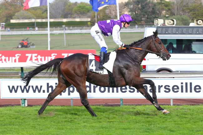 Photo d'arrivée de la course pmu PRIX DES SOCIETAIRES à MARSEILLE BORELY le Lundi 24 octobre 2022