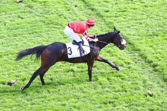 Photo d'arrivée de la course pmu PRIX PETIT FONTAINE à AUTEUIL le Mardi 25 octobre 2022