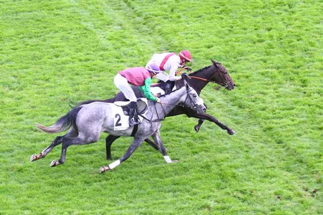 Photo d'arrivée de la course pmu PRIX LUSIGNAN à AUTEUIL le Mardi 25 octobre 2022