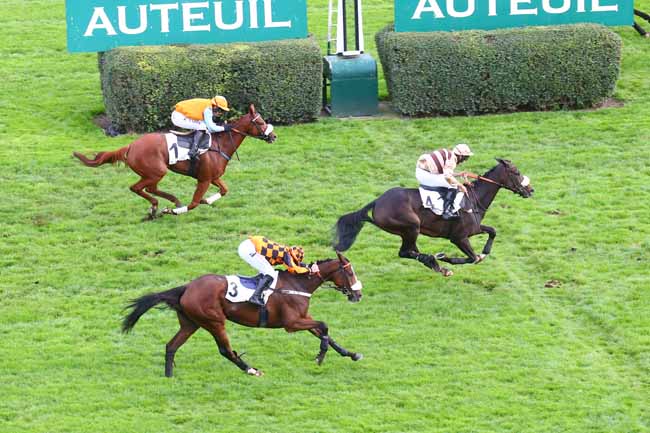Photo d'arrivée de la course pmu PRIX HARAS DU REUILLY à AUTEUIL le Mardi 25 octobre 2022