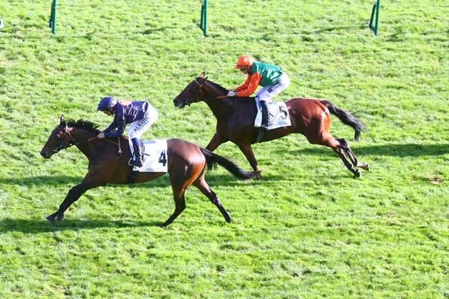 Photo d'arrivée de la course pmu PRIX DES CAPUCINES à LONGCHAMP le Jeudi 27 octobre 2022
