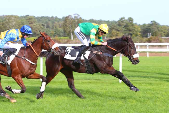 Photo d'arrivée de la course pmu PRIX WWW.COURSESCHEVAUX.FR à FONTAINEBLEAU le Jeudi 27 octobre 2022