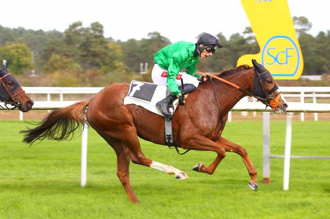 Photo d'arrivée de la course pmu PRIX DE LA ROUTE DES DEUX SOEURS à FONTAINEBLEAU le Jeudi 27 octobre 2022