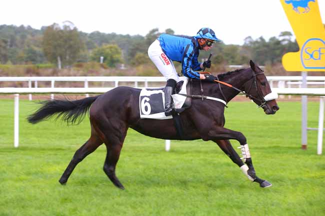 Photo d'arrivée de la course pmu PRIX DU MONT USSY à FONTAINEBLEAU le Jeudi 27 octobre 2022
