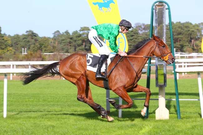 Photo d'arrivée de la course pmu PRIX COMTE ANTOINE DE GONTAUT-BIRON à FONTAINEBLEAU le Jeudi 27 octobre 2022