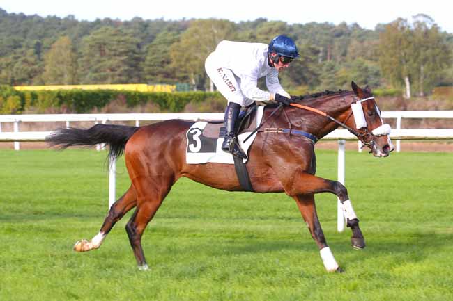 Photo d'arrivée de la course pmu PRIX DE THOMERY à FONTAINEBLEAU le Jeudi 27 octobre 2022
