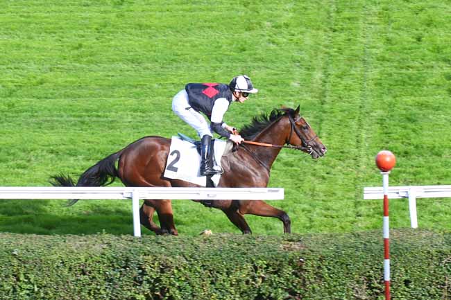 Photo d'arrivée de la course pmu PRIX ORTIE BLANCHE à SAINT CLOUD le Vendredi 28 octobre 2022