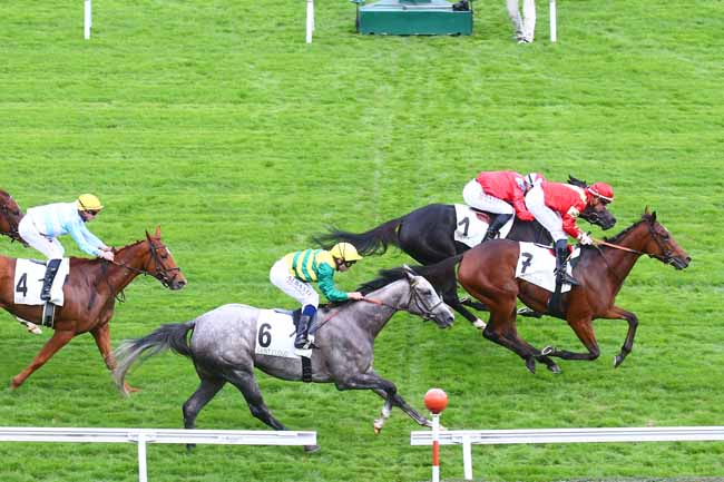 Photo d'arrivée de la course pmu PRIX ISOLA BELLA - FONDS EUROPEEN DE L'ELEVAGE à SAINT CLOUD le Vendredi 28 octobre 2022