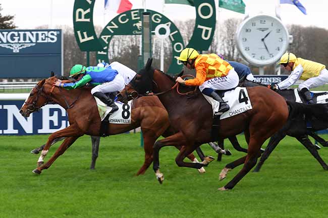 Photo d'arrivée de la course pmu PRIX MIESQUE à CHANTILLY le Dimanche 30 octobre 2022